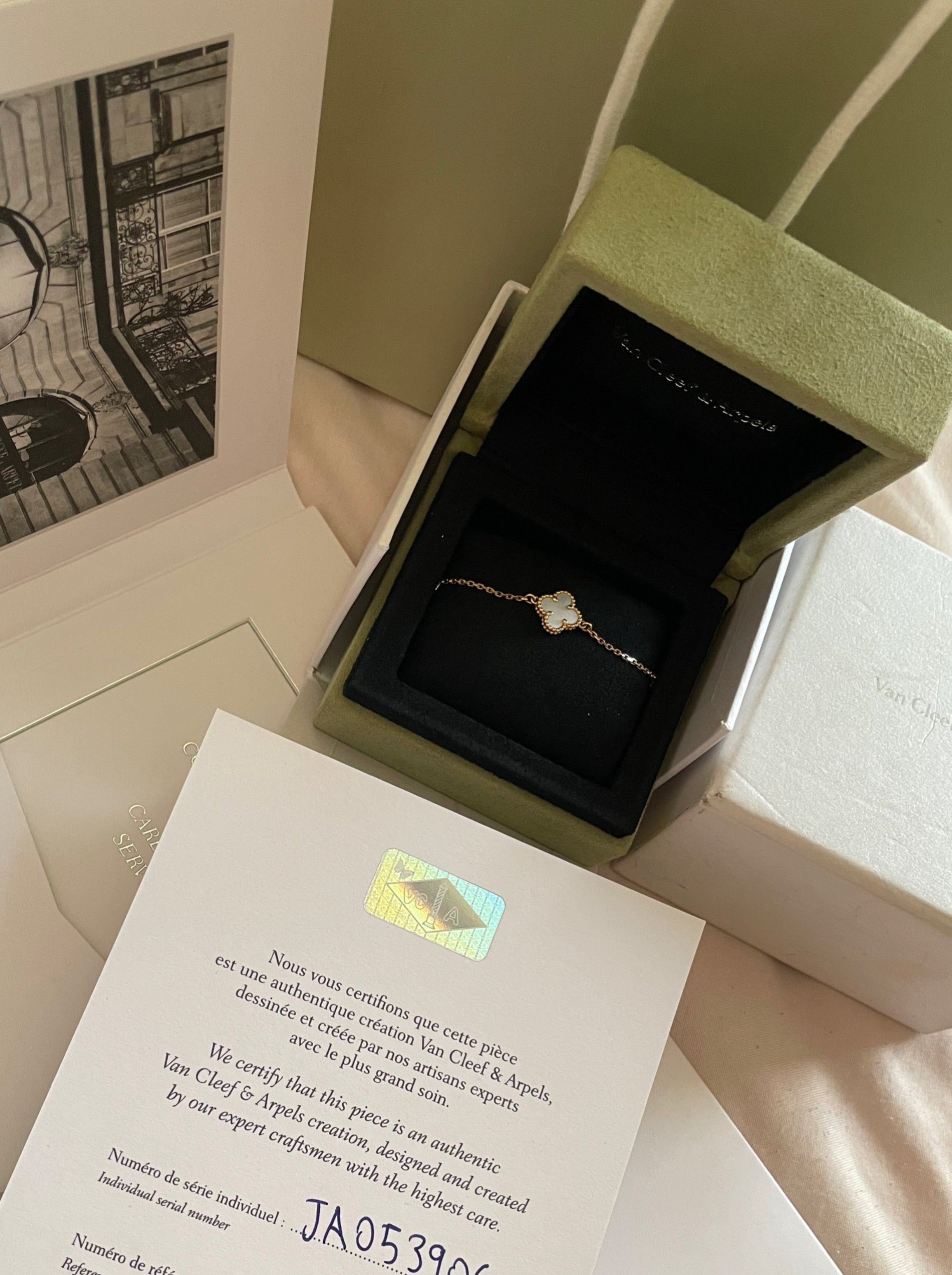 سوار ڤان كليڤ