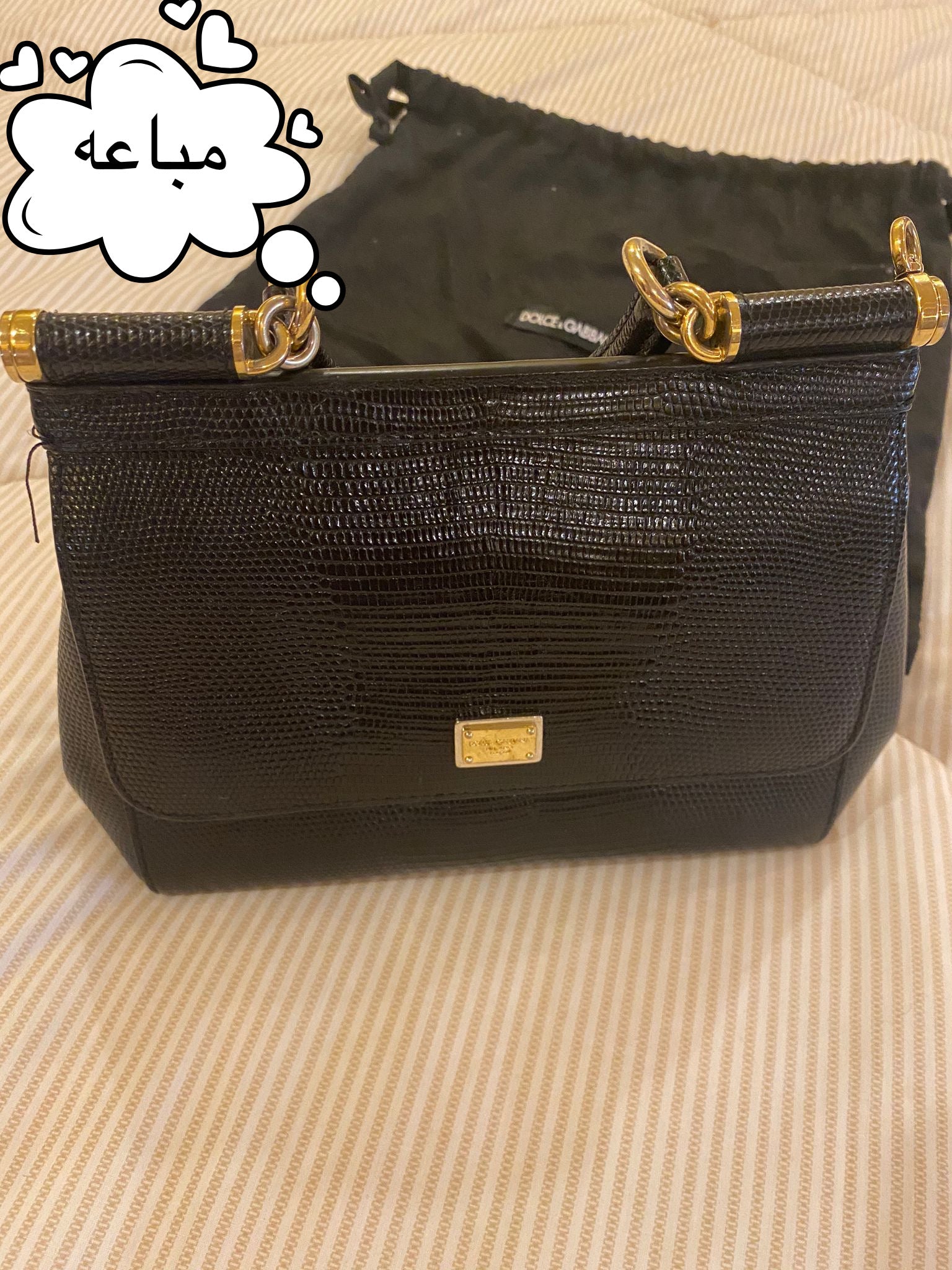 جنطة دولتشي