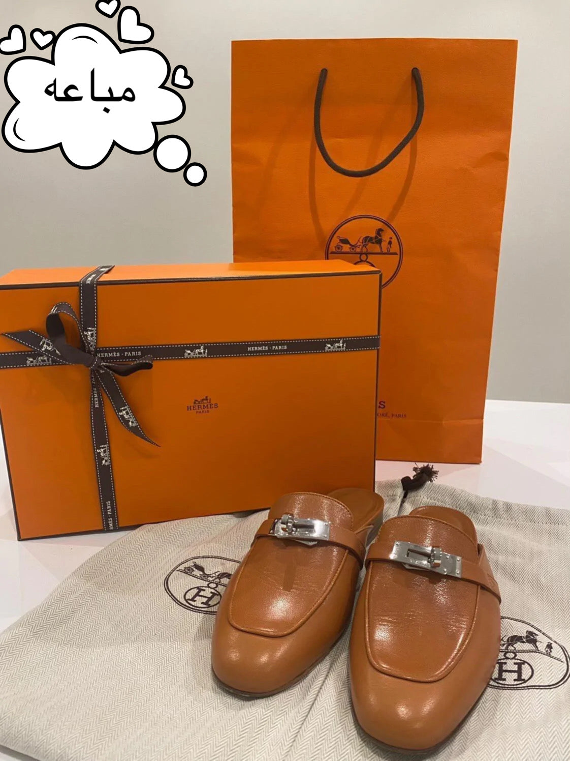 Hermes Oz Mule