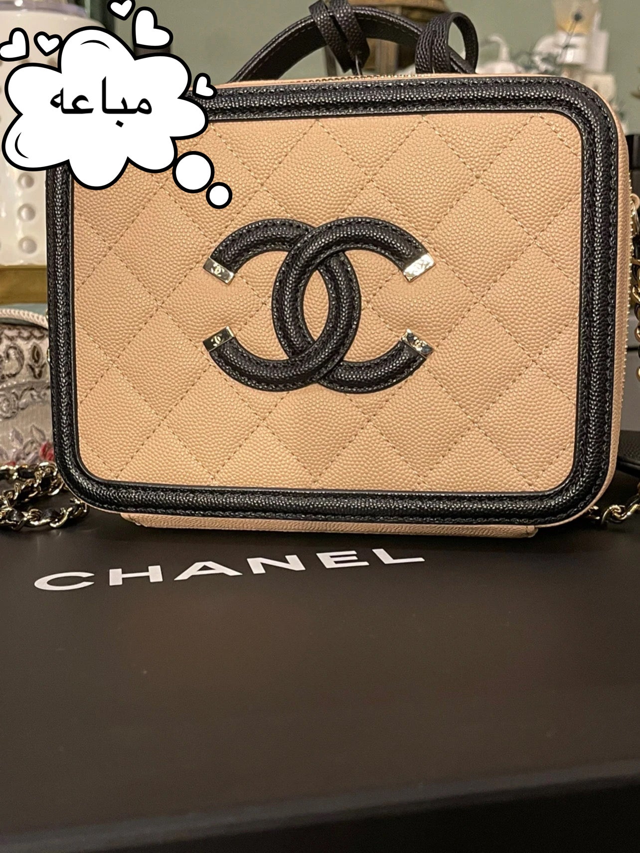 شانيل فيليغري فانتي