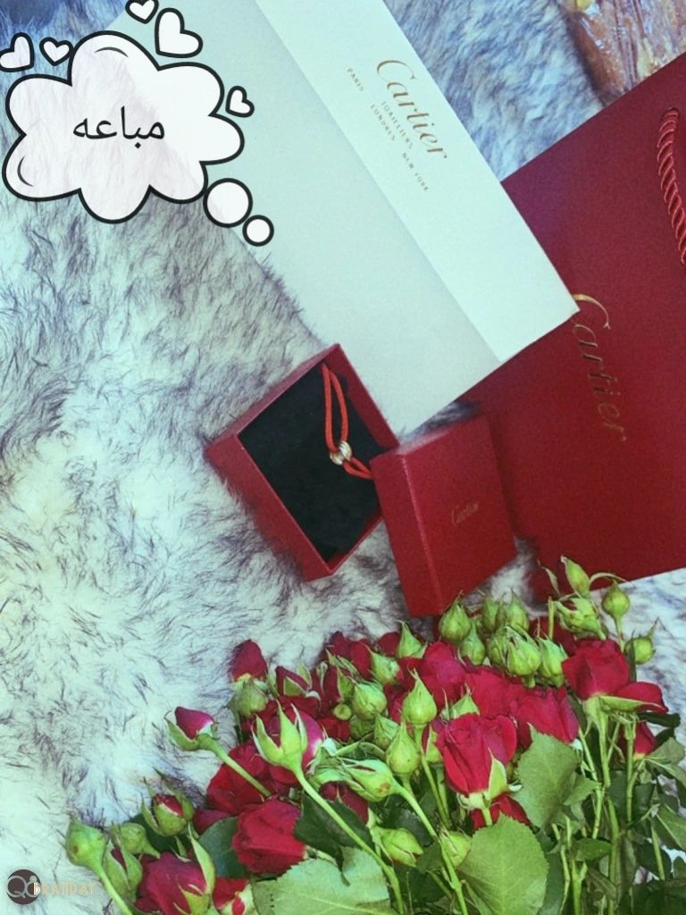 سواره ترينيتي كارتير