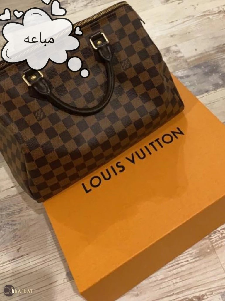 لويس فيتون سبيدي