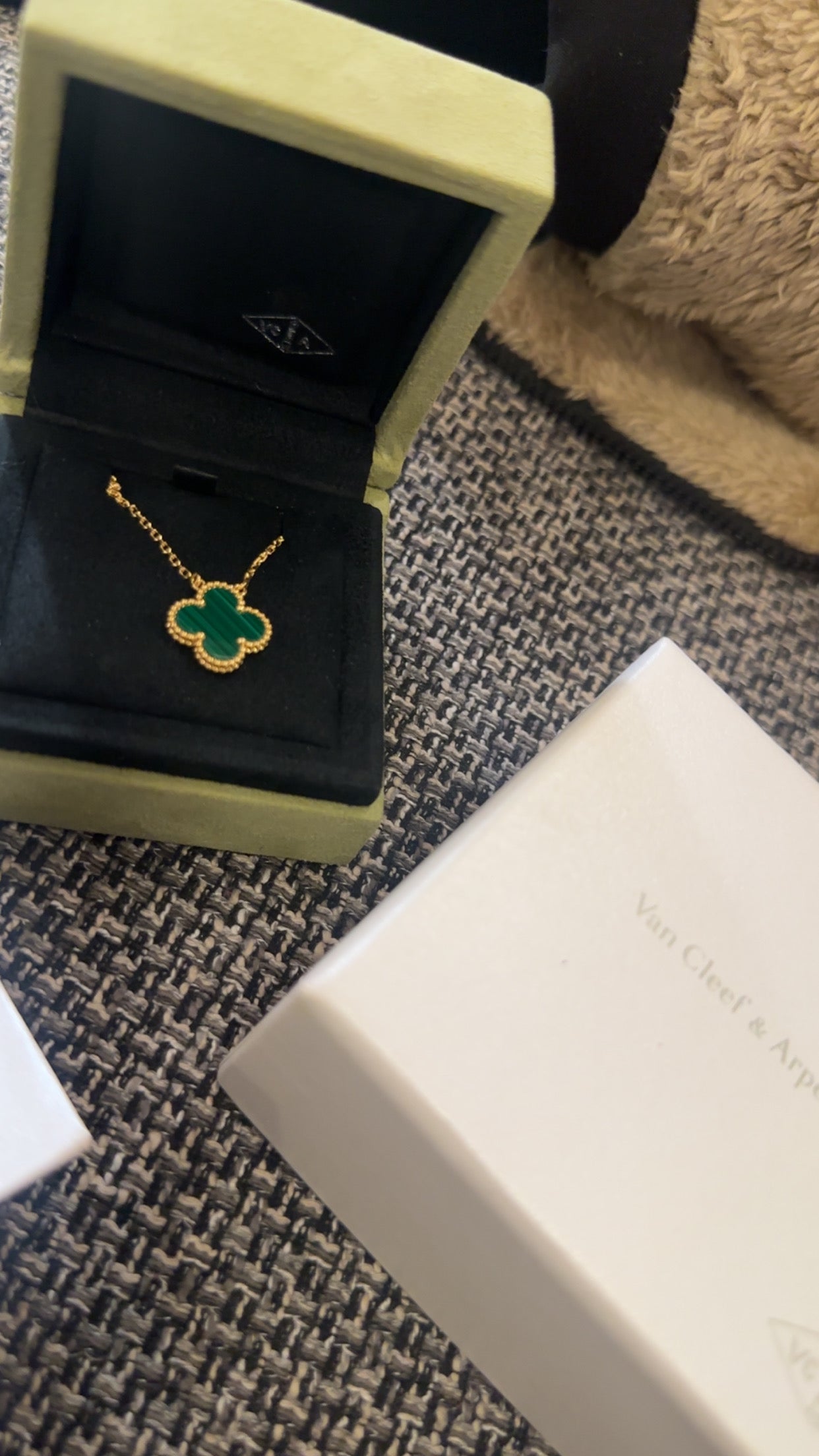 قلادة ڤان كليڤ