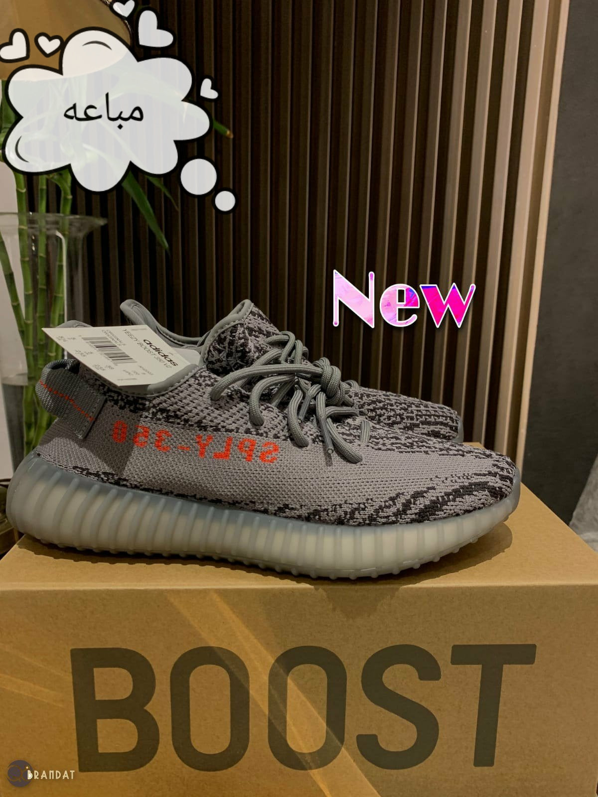 شوز ييزي جديد Yeezy